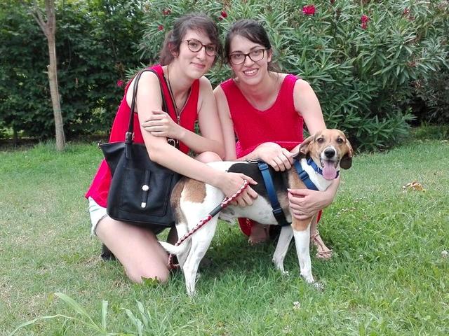 Buona vita, Taddeo!